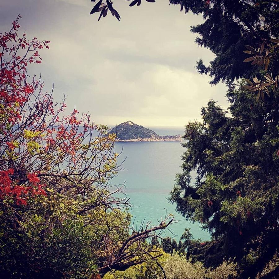 Salvia E Rosmarino - Affittacamere In Liguria Villanova d'Albenga Extérieur photo