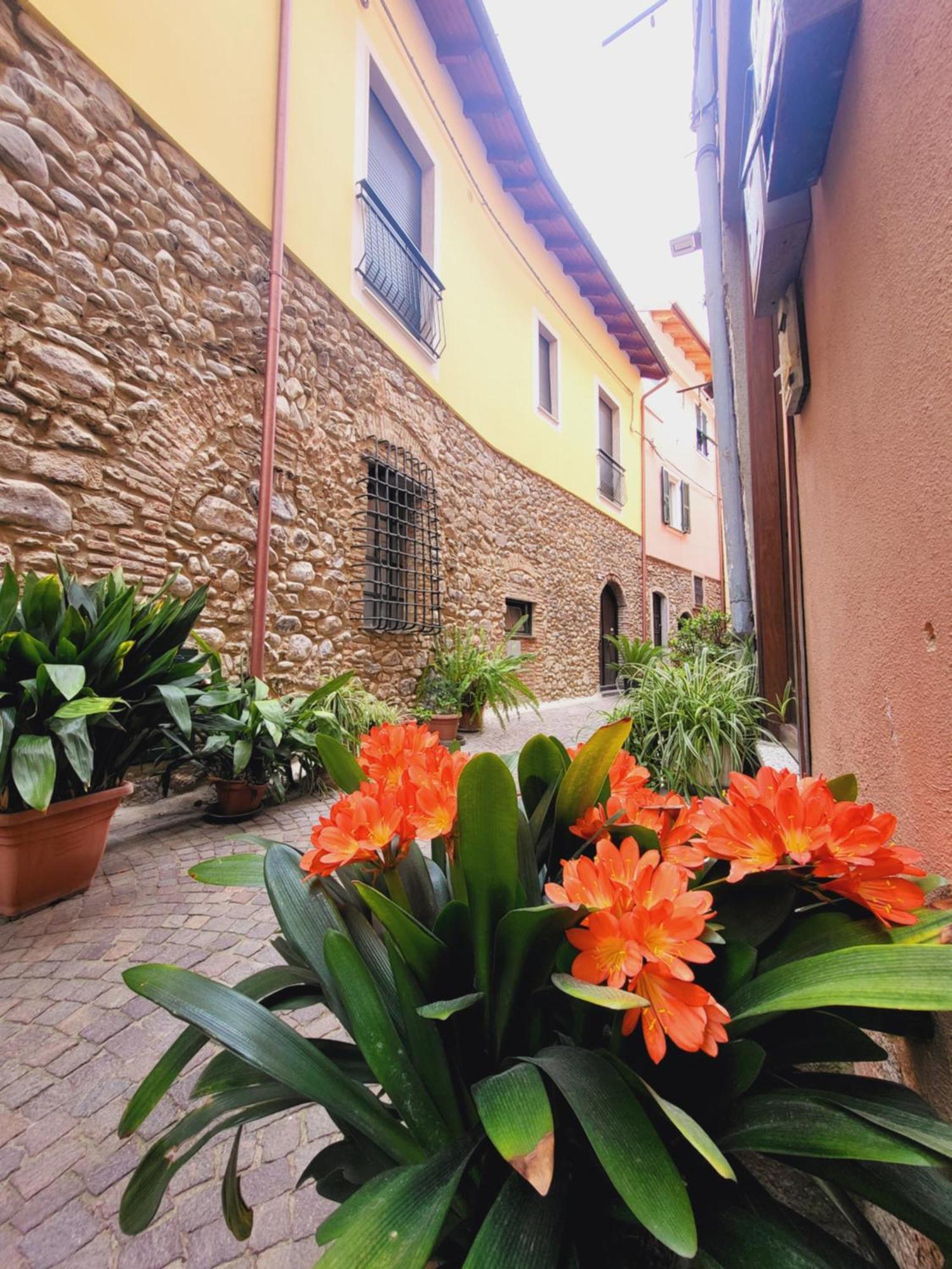 Salvia E Rosmarino - Affittacamere In Liguria Villanova d'Albenga Extérieur photo