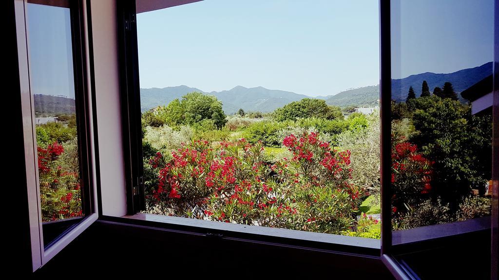 Salvia E Rosmarino - Affittacamere In Liguria Villanova d'Albenga Extérieur photo